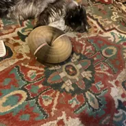 Customer photo from Bert Wolfe's review
