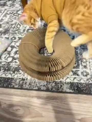 Customer video of a cat playing with Kitty Kurlz