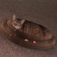 Brown tabby curled asleep inside a Kitty Kurlz scratcher ring with rattle balls in the track